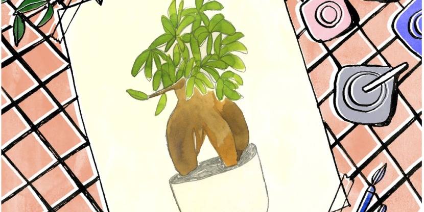 Mooiwatplantendoen_flow_ficus4