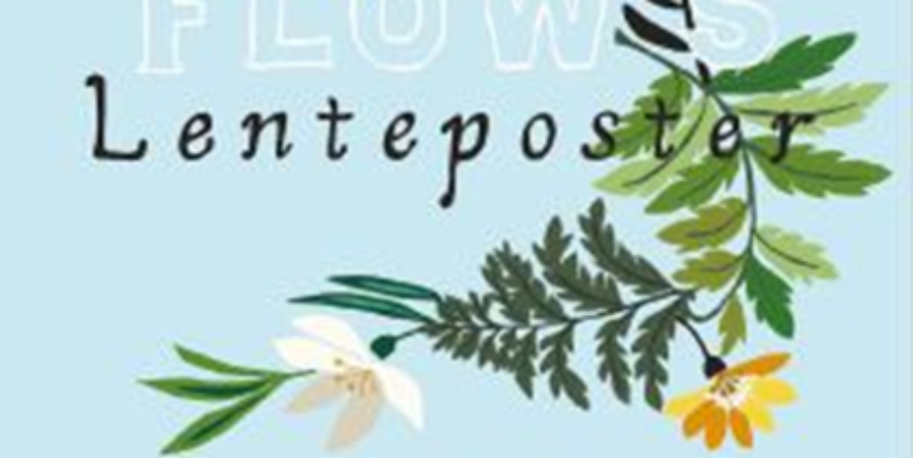 20160302_flow2_extras