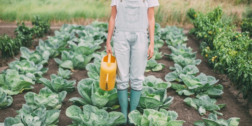 stocksy_txp5baea16faub100_original_758259