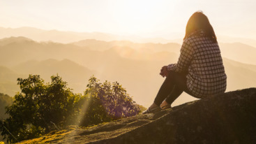 HR Shutterstock 504433270 Openingsbeeld