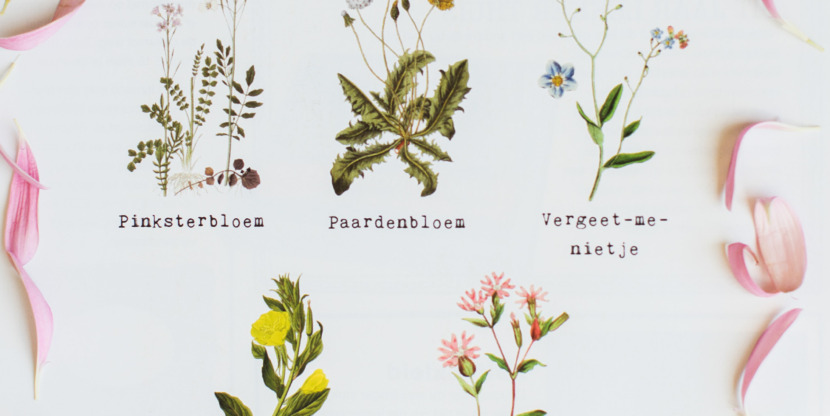 012QuoteClaudia-NL04_2010