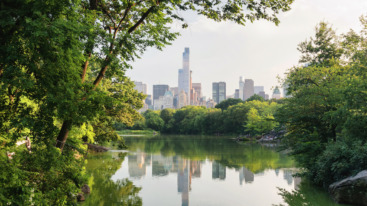 Central park in New York in a foggy morning day