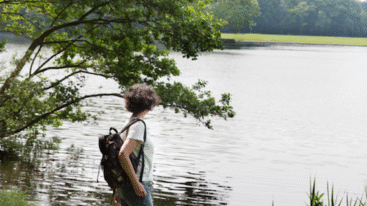 Schermafbeelding 2017-09-05 om 16.14.05