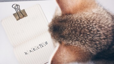 Processed with VSCO with hb1 preset