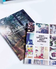 Het grote boek van minder