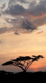 Afrikaanse filosofie