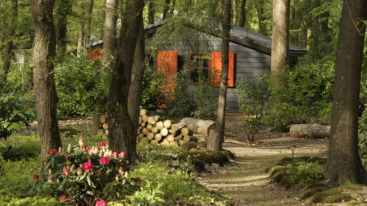 overnachten in het bos