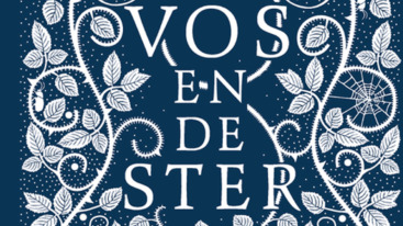 De vos en de ster