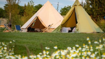 Netl de wildste tuin