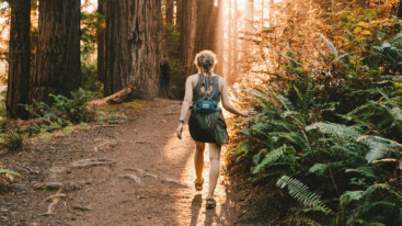 wandelingen in Nederland