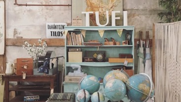 Bluebirds in the Backyard