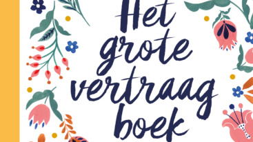 Het grote vertraagboek