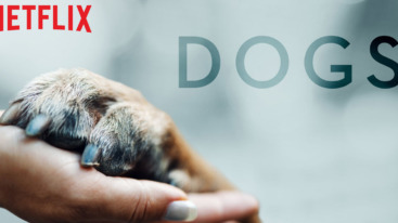 documentaire dogs