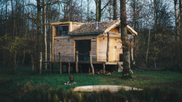 The Forest - tiny house