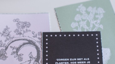 05quoteclaudia-nl01_2012