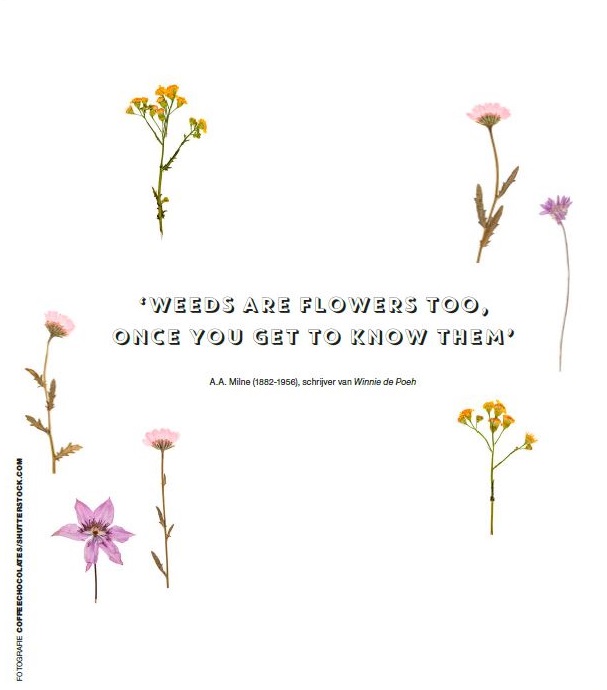 Seeds are flowers too