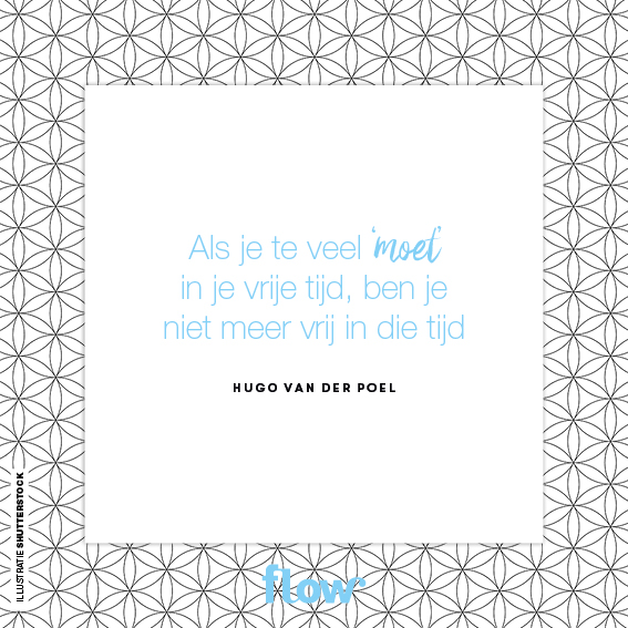 Quote Hugo van der Poel