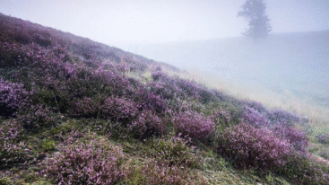 Wandelingen in Limburg