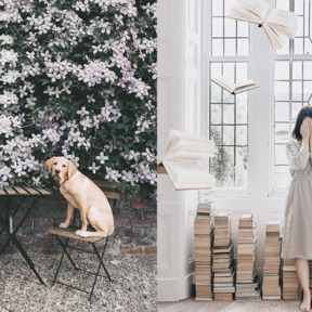 Ken je deze Bookstagrams al?