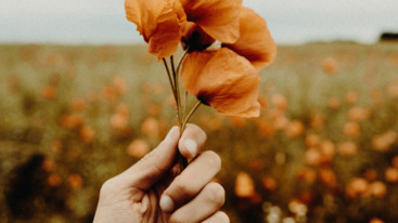 boeken over mentale gezondheid