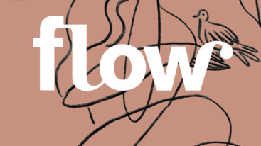 Flow 8