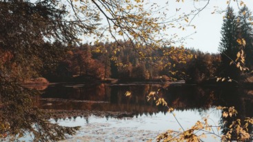 photo-1508845051006-62c3f0fabb1f