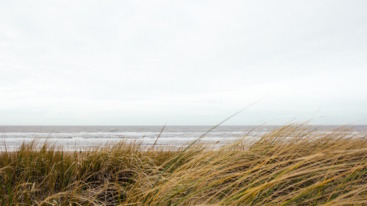 populairste ns-wandeling 2019