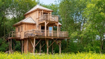 overnachting in een boomhut