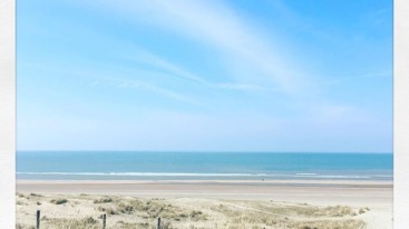 54731931_2282409181802565_5821629676636733494_n