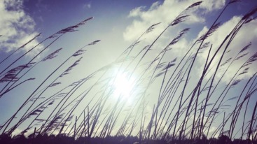 91431053_246284206564917_2889836921505570414_n(1)