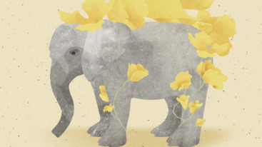 RouwEnkel_EliseVleugels_def