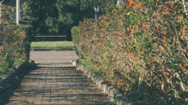 william-f-santos-MpMRZ_nTNI8-unsplash