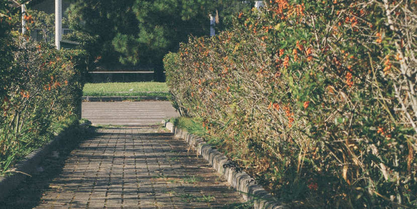 william-f-santos-MpMRZ_nTNI8-unsplash