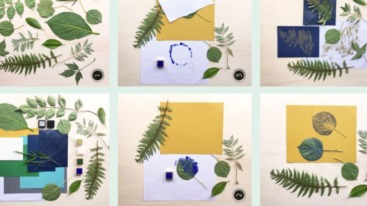 monoprints