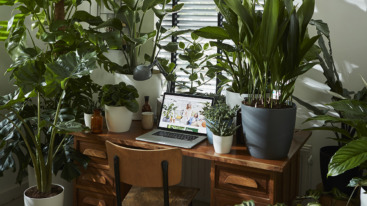 header elho planten werkplek