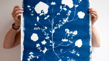 cyanotype