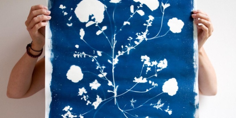 cyanotype