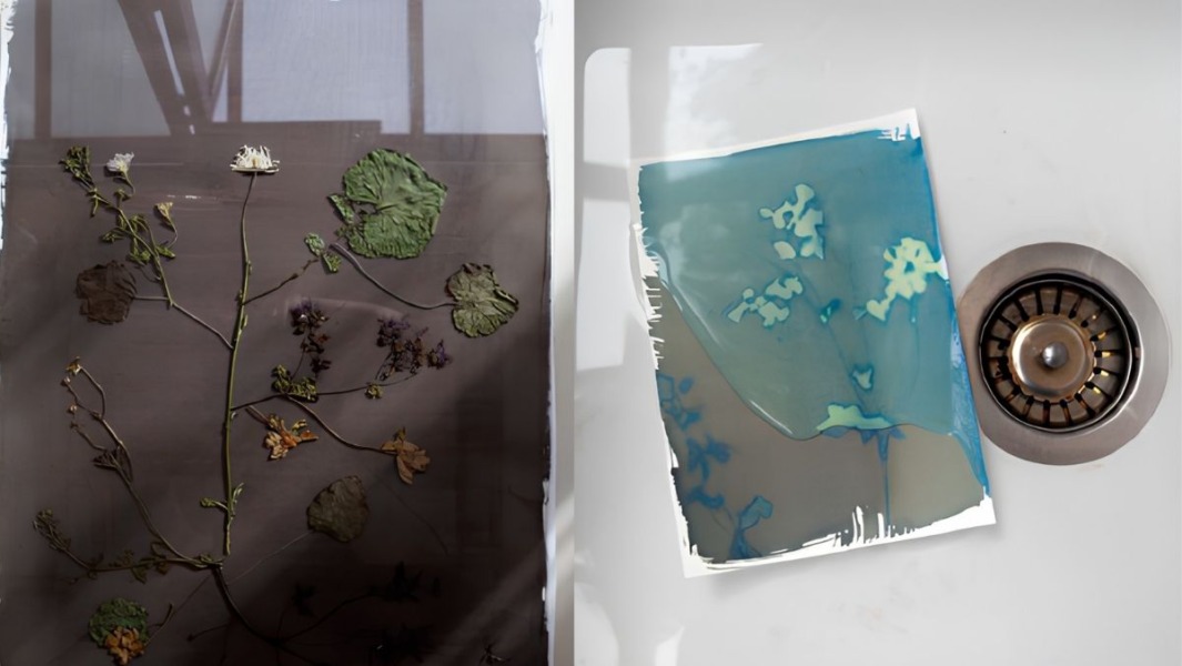 cyanotype stap 3 en 4