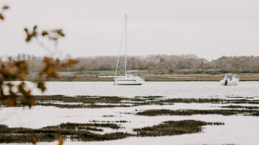 stemmingswisselingen