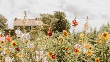 Tuinieren in de tuin