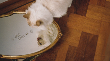 Naar jezelf omkijken