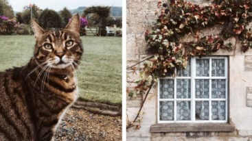 Links: een van de katten in de achtertuin Rechts: Engelse raampjes in het dorp