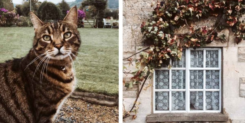 Links: een van de katten in de achtertuin Rechts: Engelse raampjes in het dorp