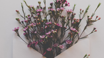 bezorgde brieven header