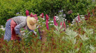 groener en duurzamer