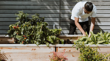 moestuin buiten zaaiseizoen 2 flow