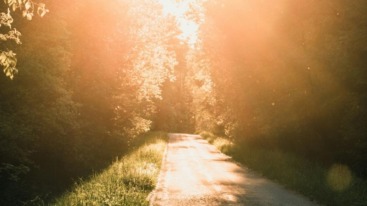 zomerse wandelroutes