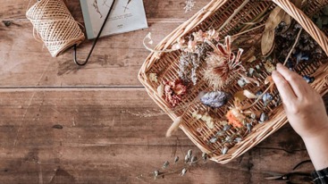 8 -2 24 droofbloemen