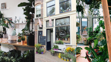 plantenwinkels