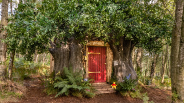 huisje van winnie the pooh